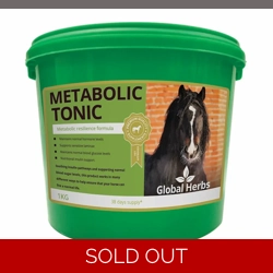 Global Herbs Metabolic Tonic