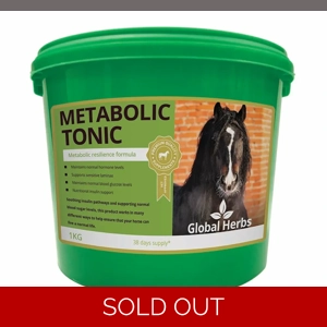 Global Herbs Metabolic Tonic