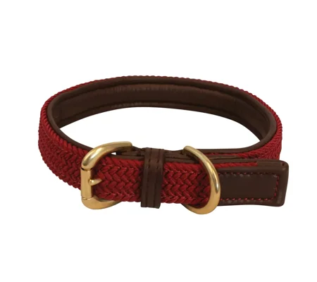 Benji & Flo Interlaced Dog Collar Burgundy