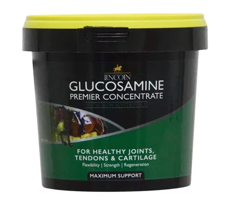 Lincoln Glucosamine Premier Concentrate 600g