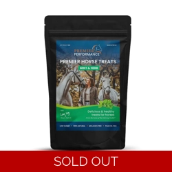 Premier Performance Horse Treats - 1kg