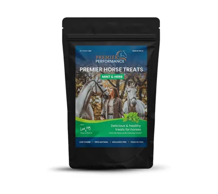 Premier Performance Horse Treats - 1kg