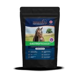 Premier Performance GastroPremier - 600g