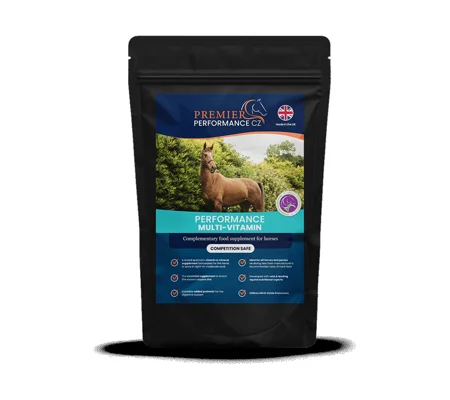Premier Performance MultiVitamin - 30 Servings