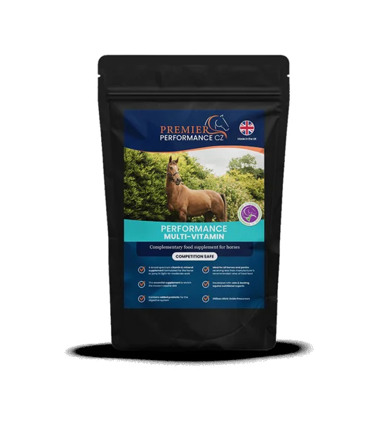 Premier Performance MultiVitamin - 30 Servings