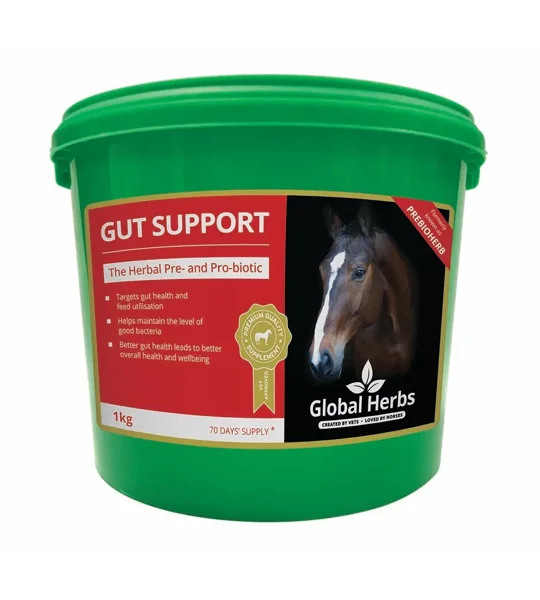 Global Herbs Gut Support