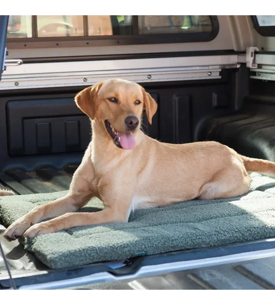 House of Paws Berber Crate Mat Moss