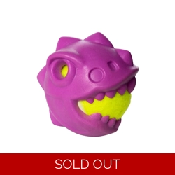 House of Paws Dino Ball - Purple