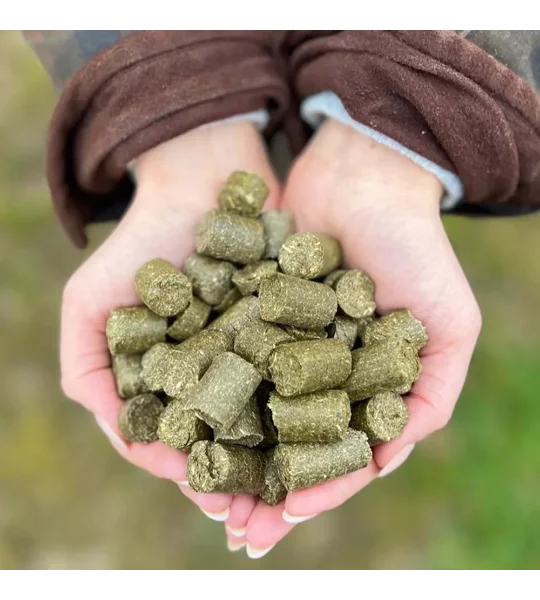 Silvermoor Eco Treatsies 1kg Gorgeous Grass