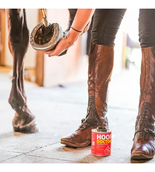 Equine One Hoof Doctor