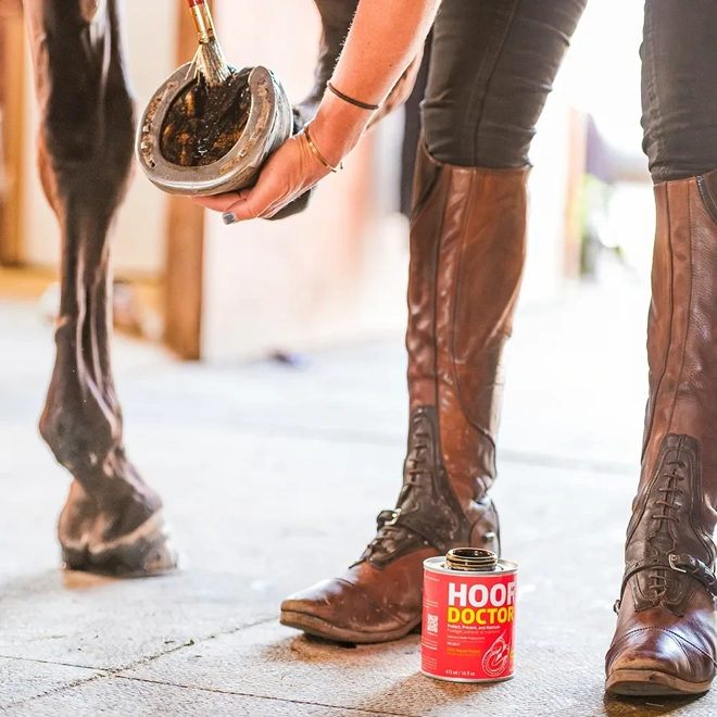 Additional Image for Equine One Hoof Doctor