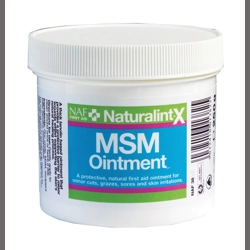 NAF NaturalintX MSM Ointment - 250g