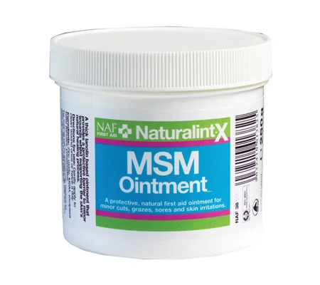 NAF NaturalintX MSM Ointment - 250g