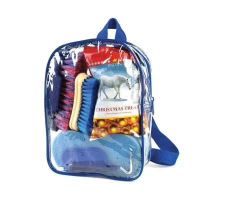 Lincoln Treat Bag - Blue