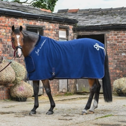 Whitaker Chelsea Show Rug Navy/Silver - 4' 9