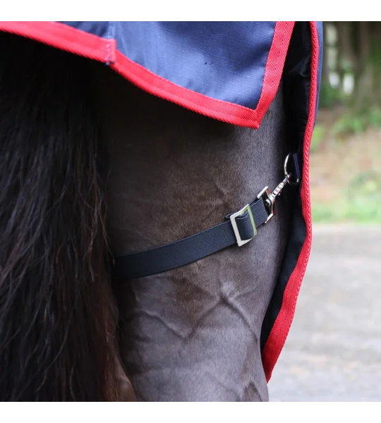 Whitaker R444 Rastrick V2 250g Turnout Rug Combo Navy