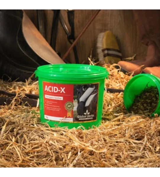 Global Herbs Acid-X 1 Kg