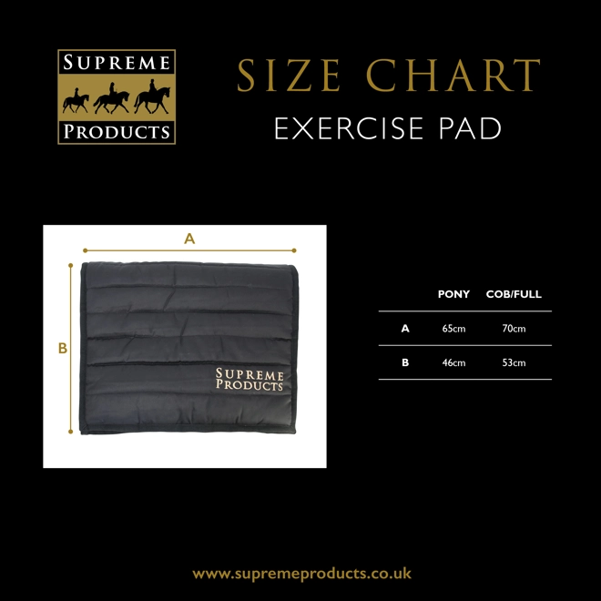 Additional Image for Supreme Products Exercise Pad