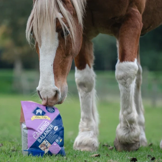 Additional Image for Blue Chip Super Concentrated Calming Balancer 3kg