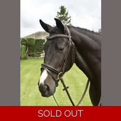 Whitaker Lynton Flash Bridle c/w Spare Browband Black