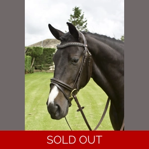 Whitaker Lynton Flash Bridle c/w Spare Browband Black