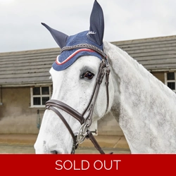 Whitaker Lynton Flash Bridle c/w Spare Browband Havana