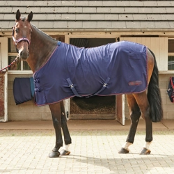 Whitaker Rastrick Summer Sheet Navy - 4' 9