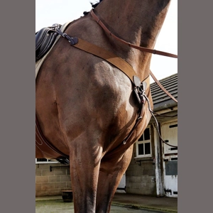 Whitaker Ready To Ride Breastplate Havana