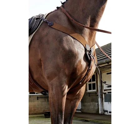 Whitaker Ready To Ride Breastplate Havana