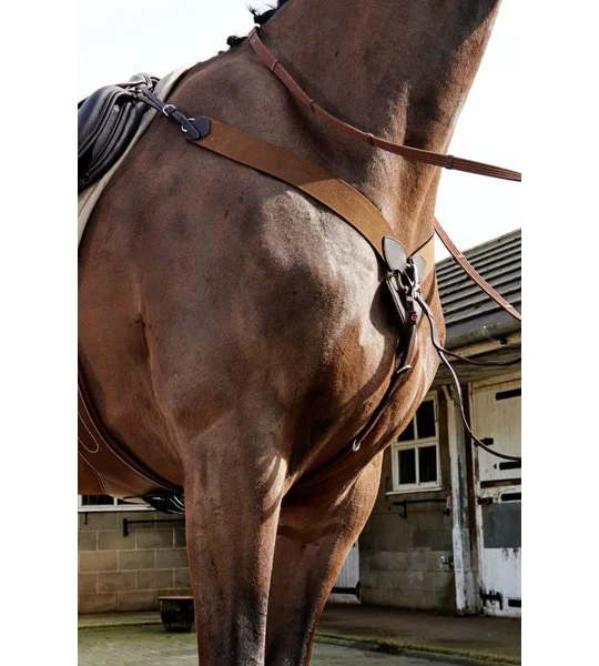 Whitaker Ready To Ride Breastplate Havana