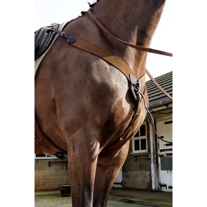 BREASTPLATES AND MARTINGALES