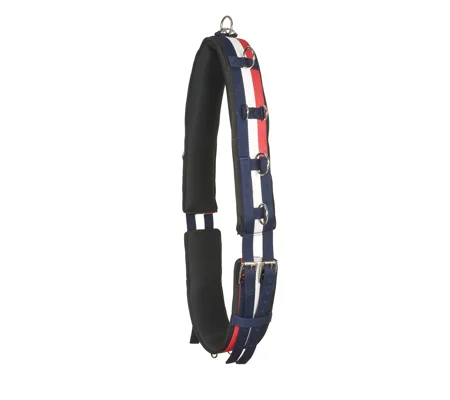 Whitaker Lunge Roller