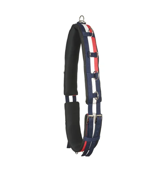 Whitaker Lunge Roller