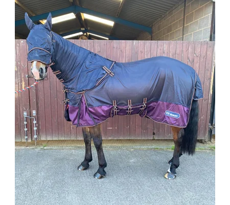 Whitaker Airton Fly Rug Navy/Plum - 5'0"-6'9"