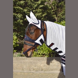 Whitaker Rastrick Fly Mask Face Shield