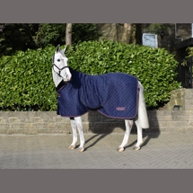 Whitaker Rastrick Cosy ..