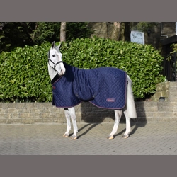 Whitaker Rastrick Cosy Stable Rug Navy
