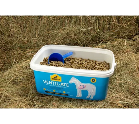 Winergy Ventil-ate 2.8kg