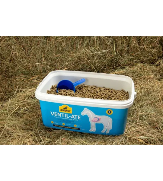 Winergy Ventil-ate 2.8kg