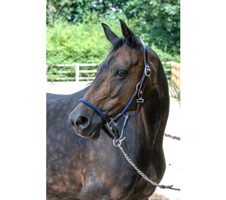 Whitaker HC065 Raywell Soft Rope Headcollar Brown/Navy
