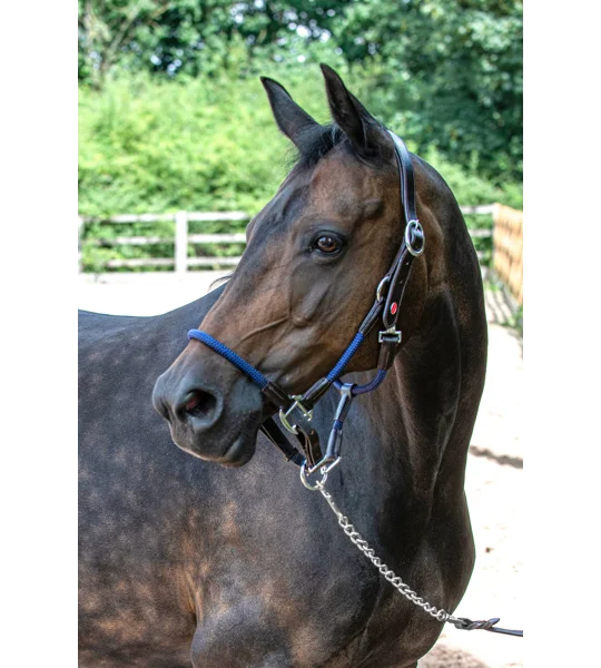 Whitaker HC065 Raywell Soft Rope Headcollar Brown/Navy