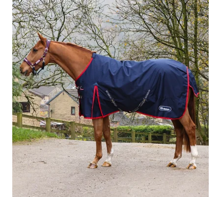 Whitaker R440 Rastrick V2 0g Turnout Rug Navy