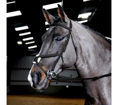 Whitaker BR055 Ready to Ride Mexican Bridle Black