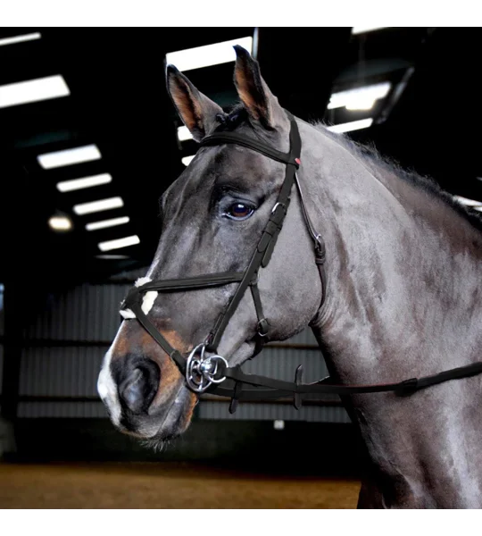 Whitaker BR055 Ready to Ride Mexican Bridle Black