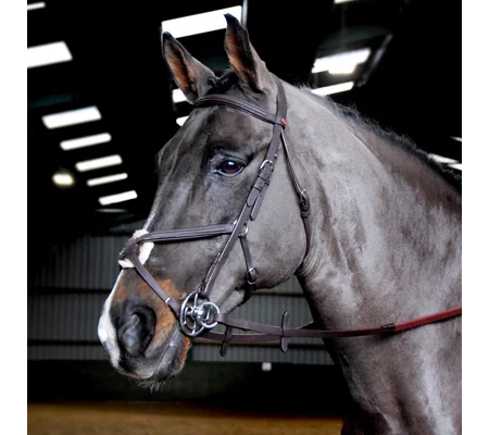 Whitaker BR055 Ready to Ride Mexican Bridle Havana