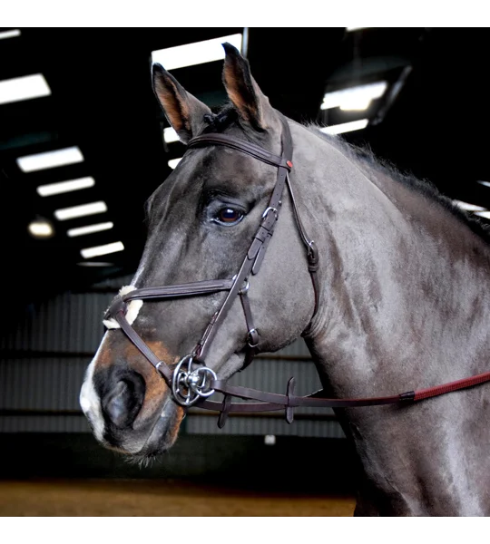 Whitaker BR055 Ready to Ride Mexican Bridle Havana