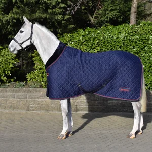 SHOW RUGS