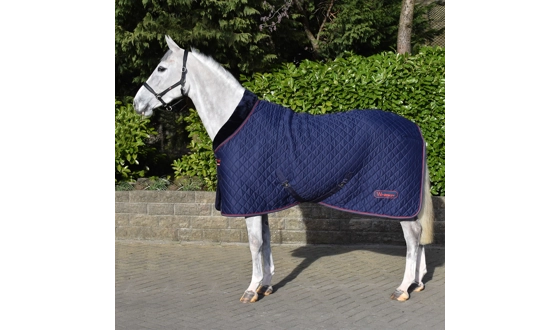 Category Image for Occasion Rugs