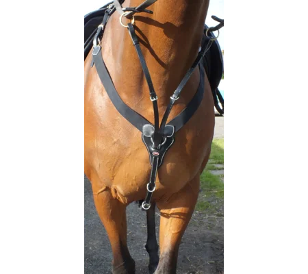 Whitaker BP048AV Eastwood Elasticated Breastplate Black