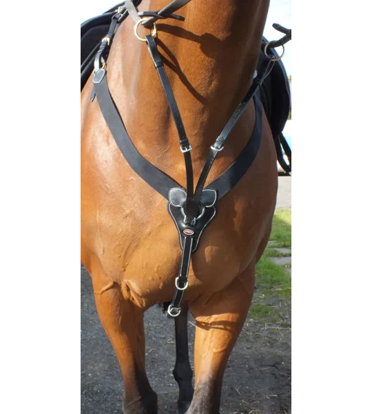 Whitaker BP048AV Eastwood Elasticated Breastplate Black